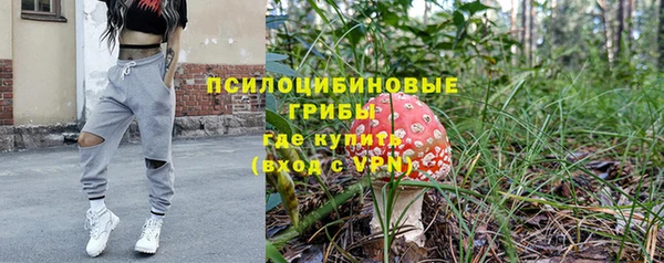 МДПВ Алзамай