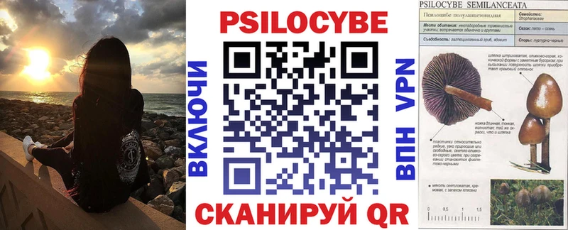 Галлюциногенные грибы Psilocybine cubensis  Хвалынск 